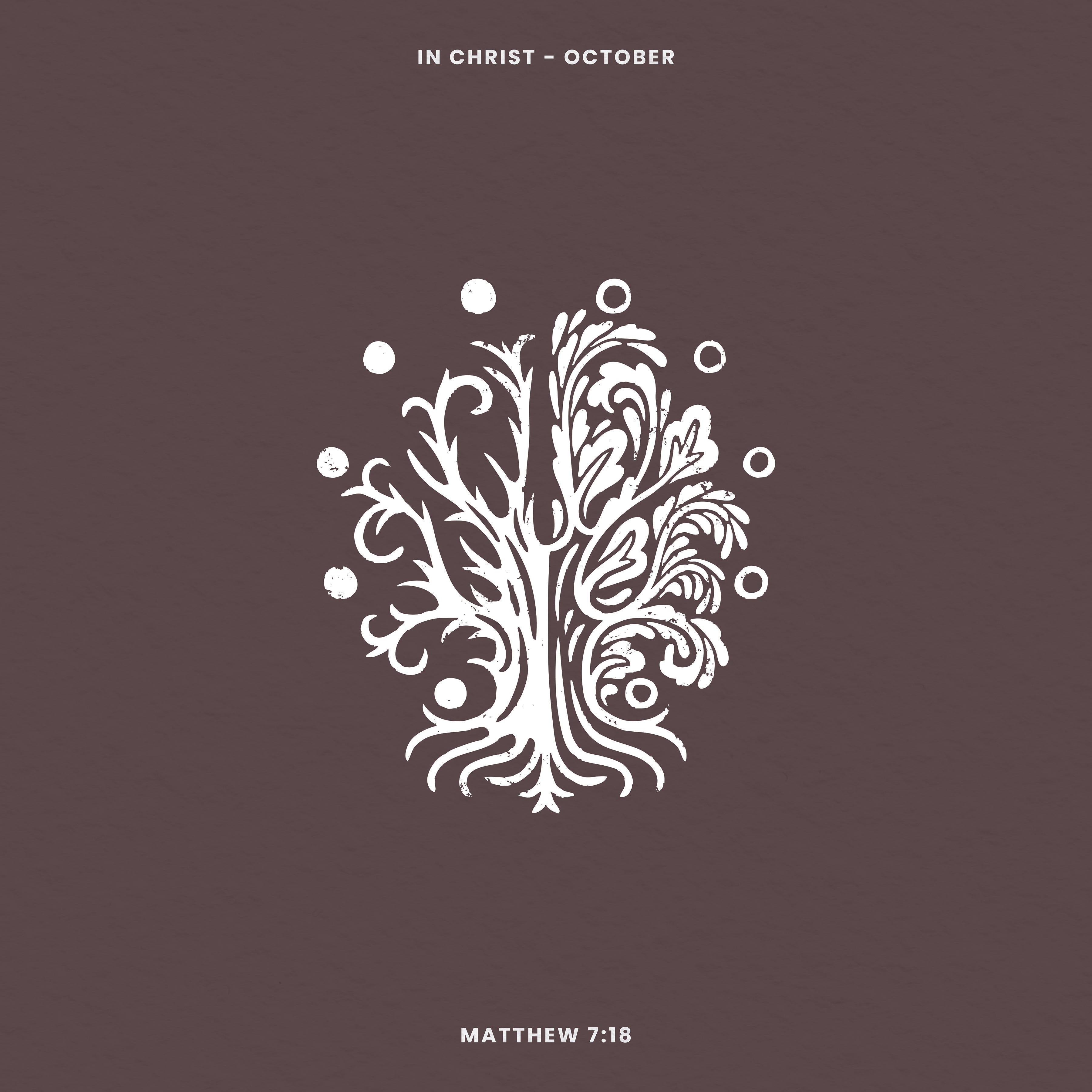 Matthew 7:18 "Apples and Oranges" - (Bearing Fruit Week 2)