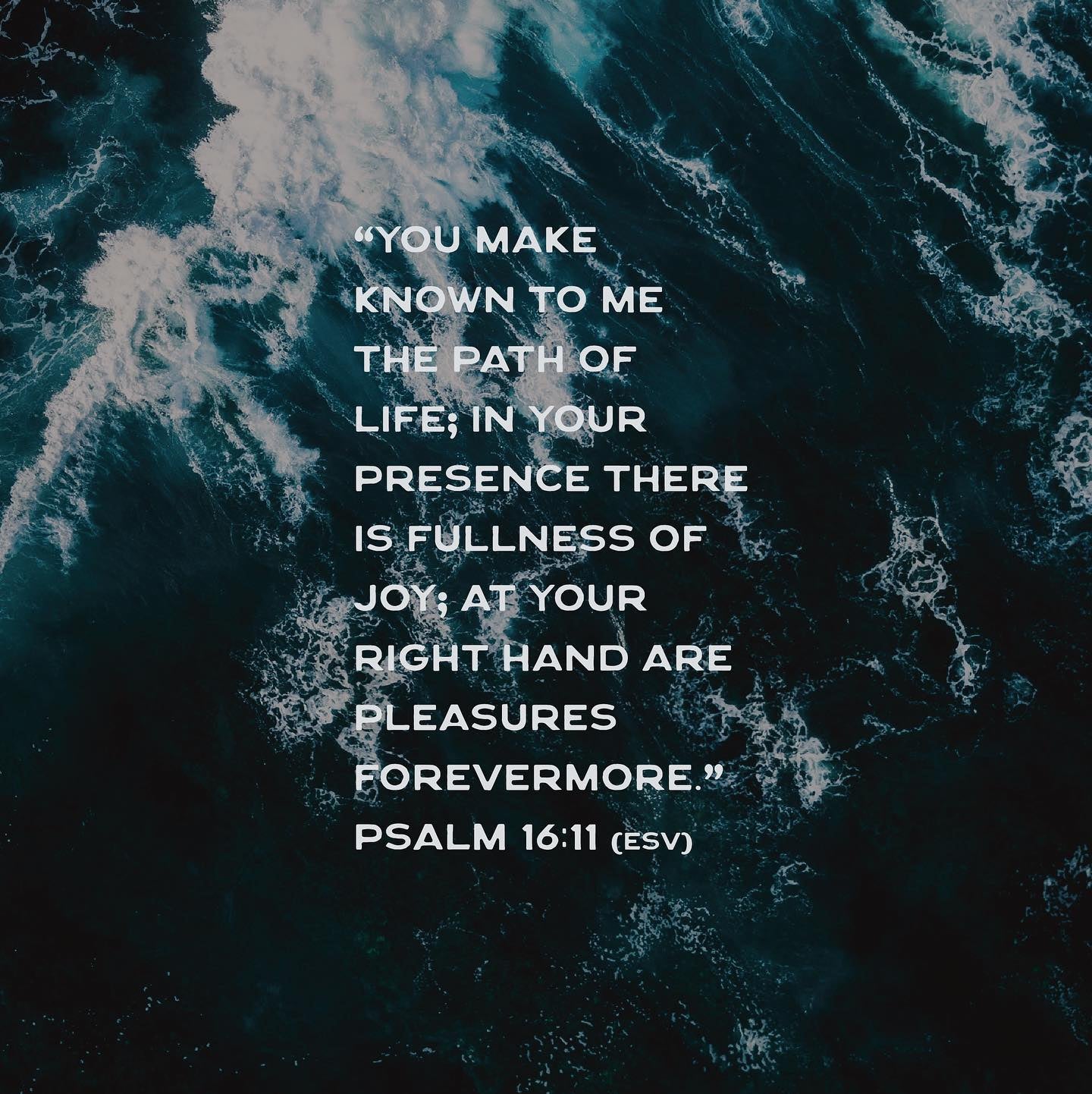 Psalm 16:11 devotional header graphic - Joy series, week 2