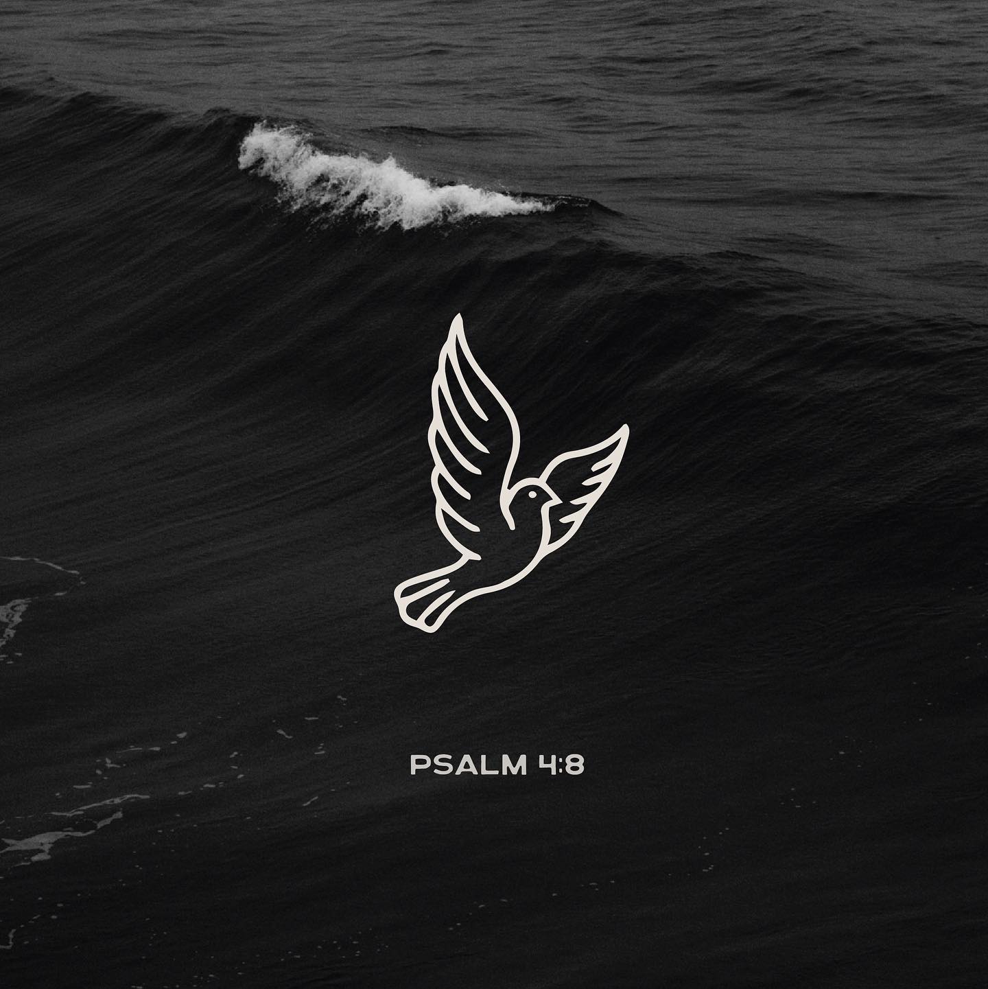 Psalm 4:8 (PEACE | Week 1)