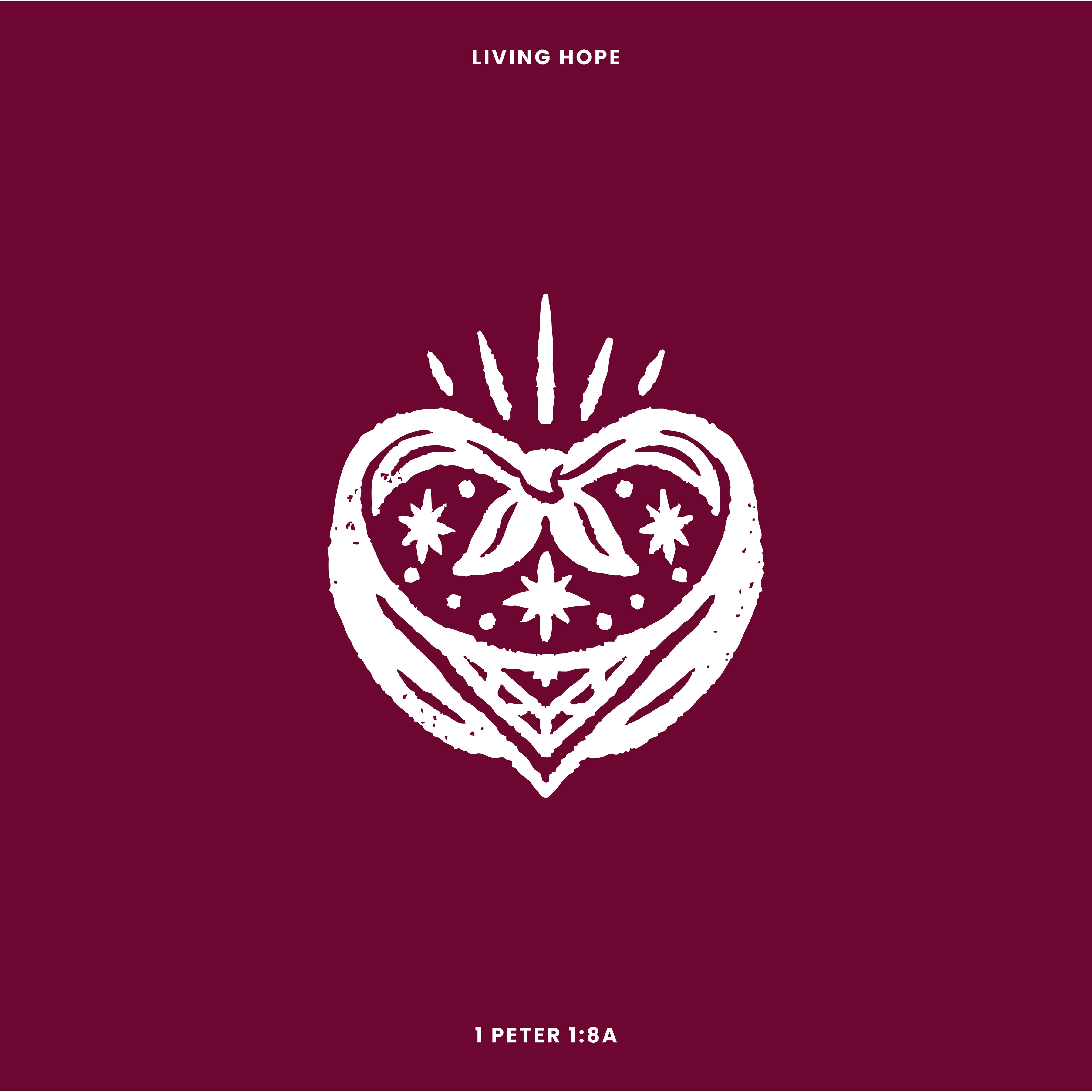 1 Peter 1:8a "The Unseen" (Perseverance Week 2)