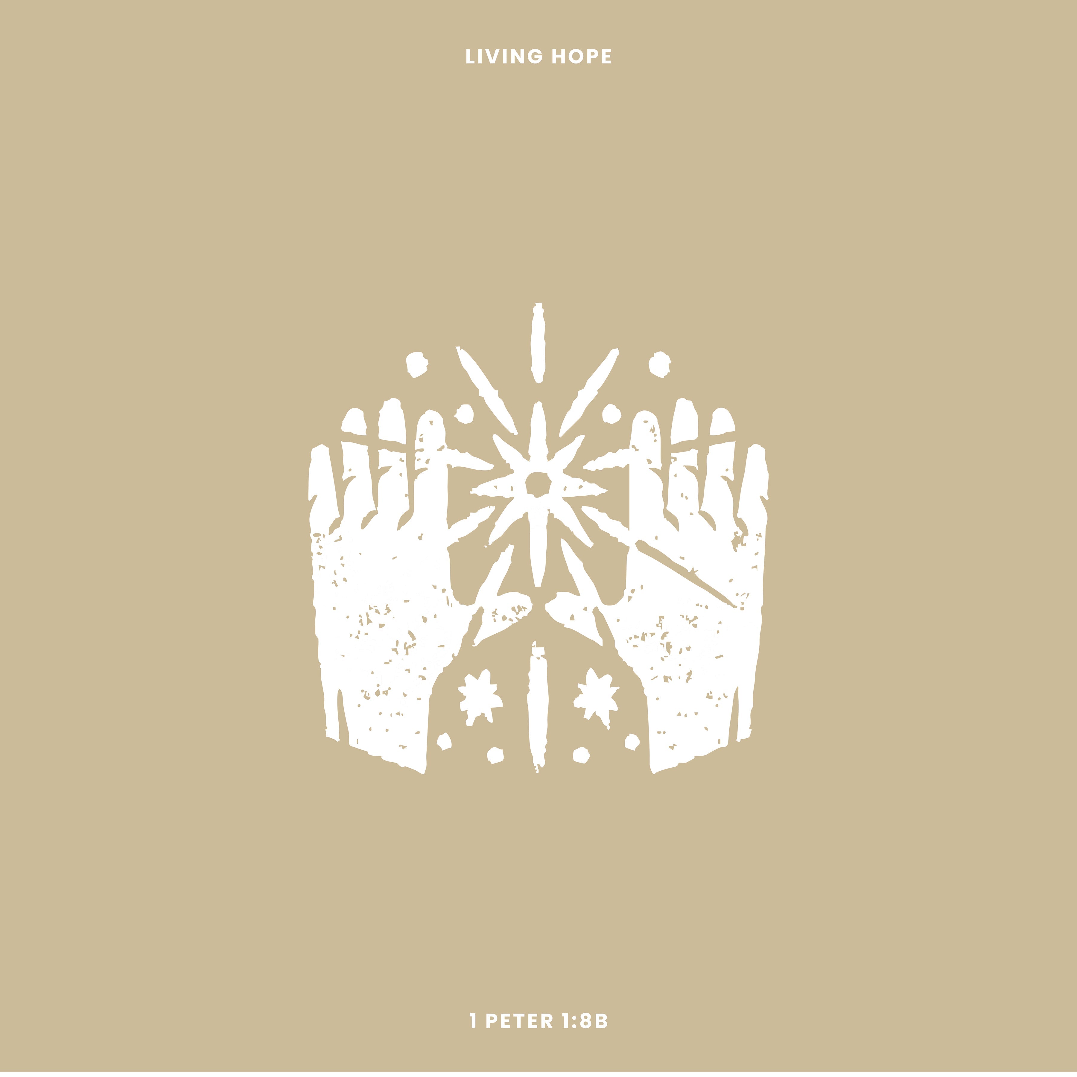 1 Peter 1:8b "Inexpressible Joy" (Perseverance Week 3)