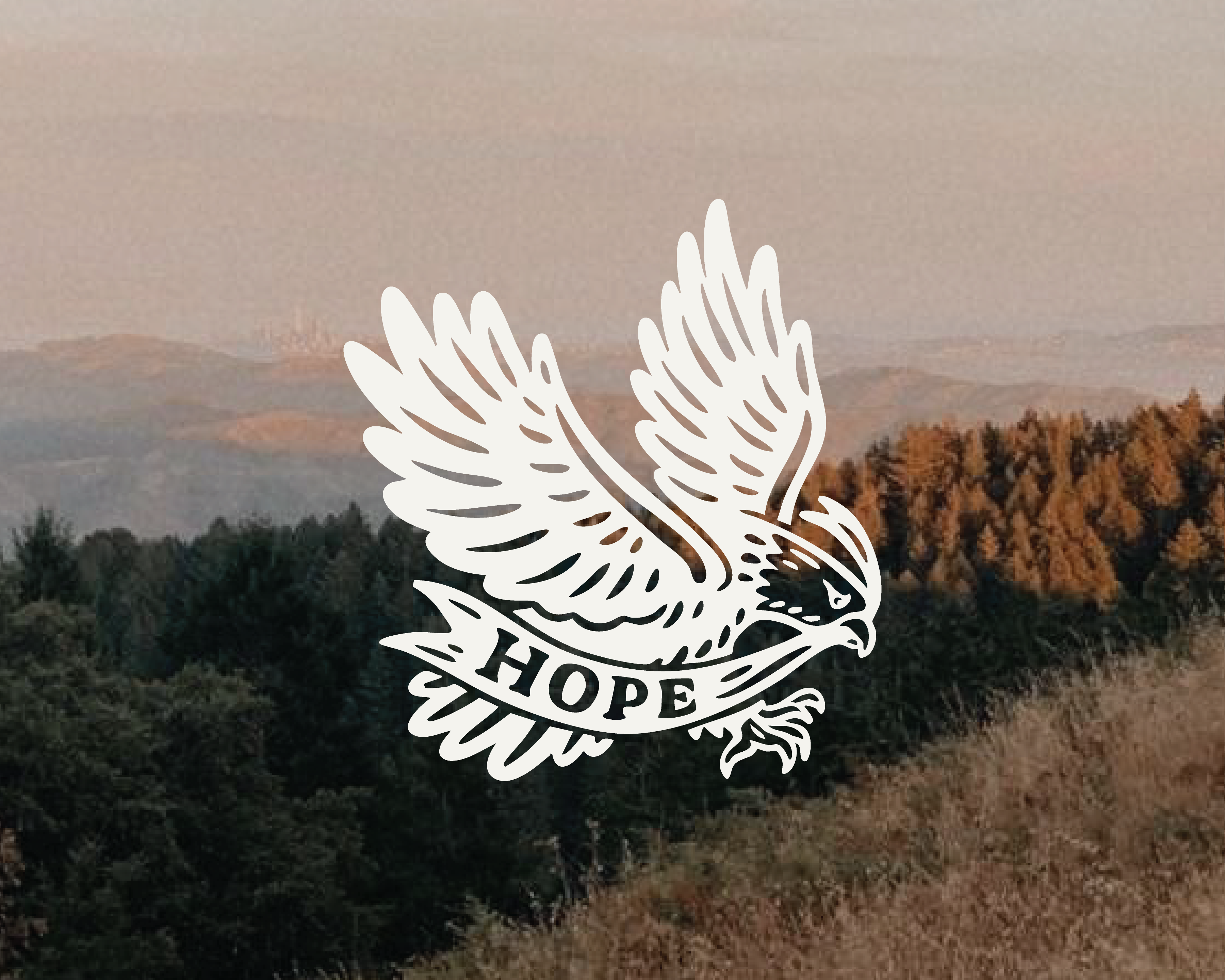 Isaiah 40:31 "The Waiting" (Hope Week 1)