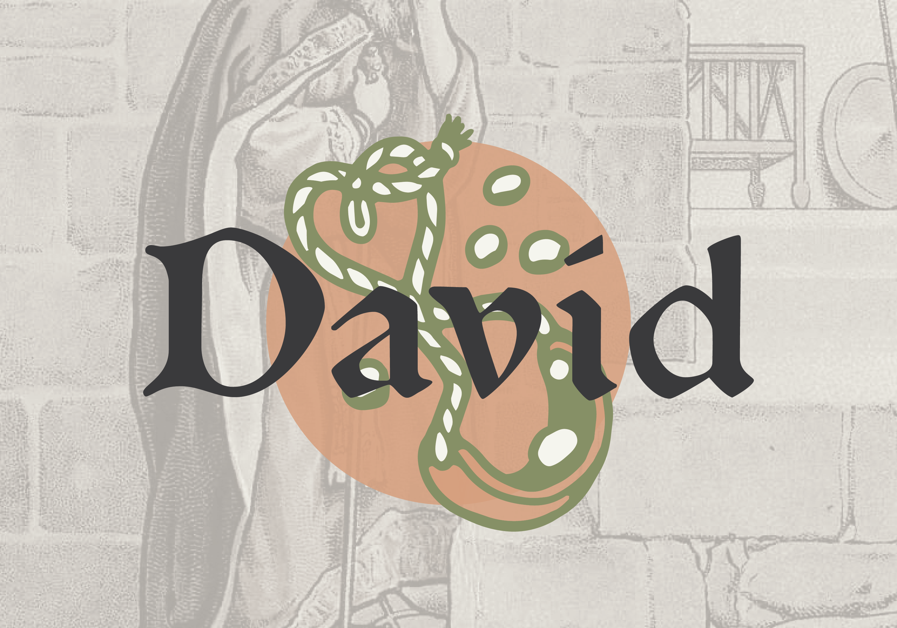 Introduction graphic for the David devotional series - The Man After God's Own Heart
