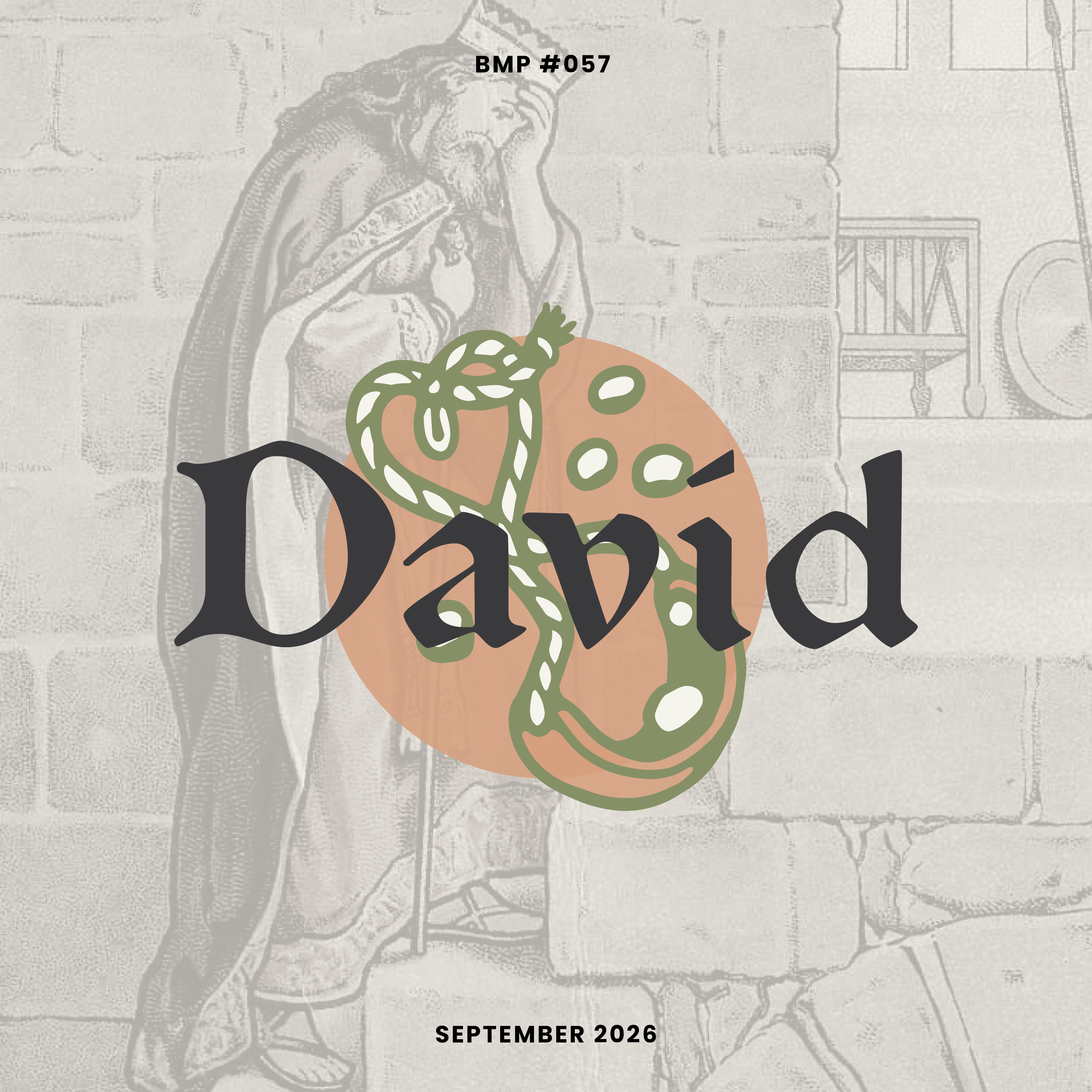 Introduction graphic for the David devotional series - The Man After God's Own Heart