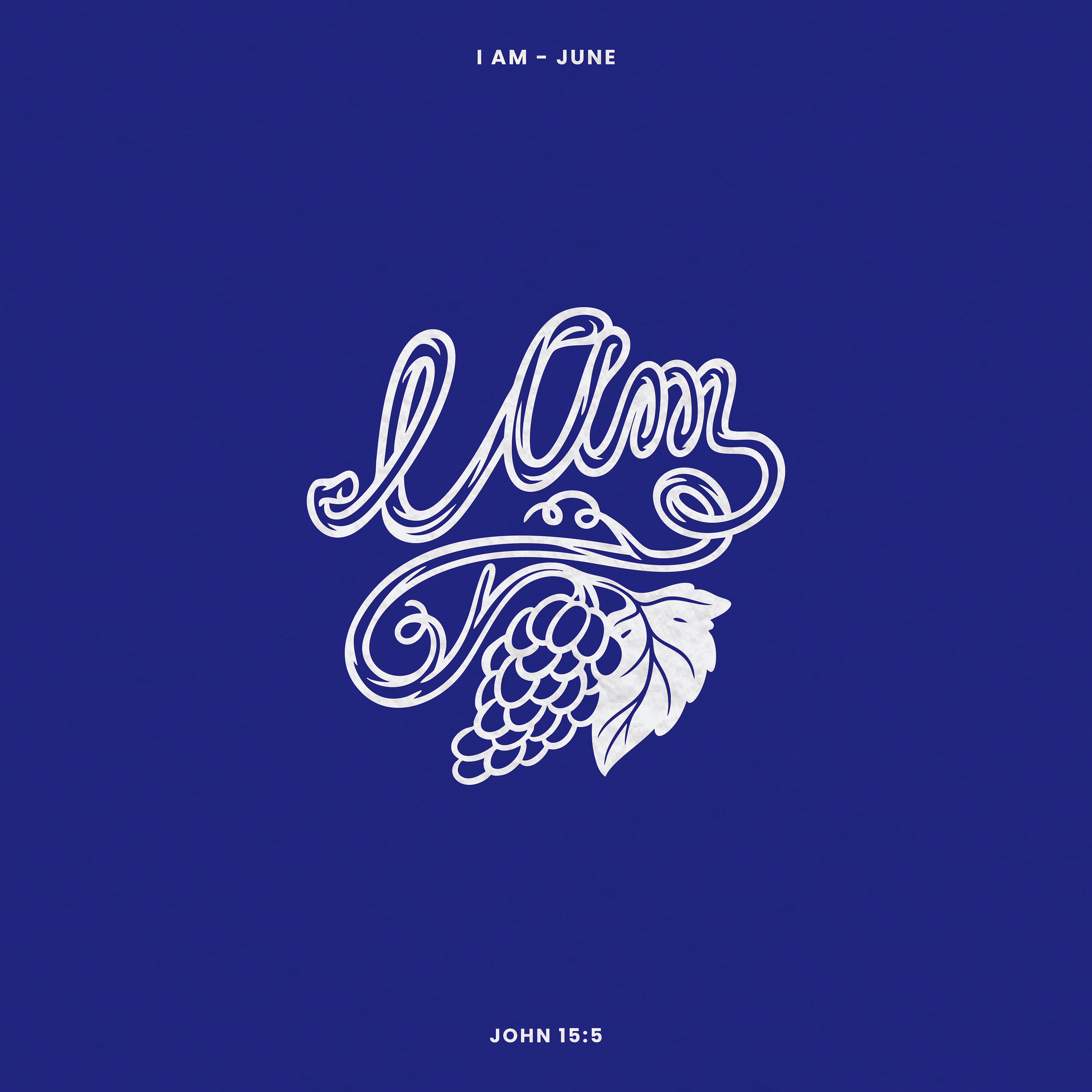 John 15:5 "The Vine" (I Am - June - Week 4)