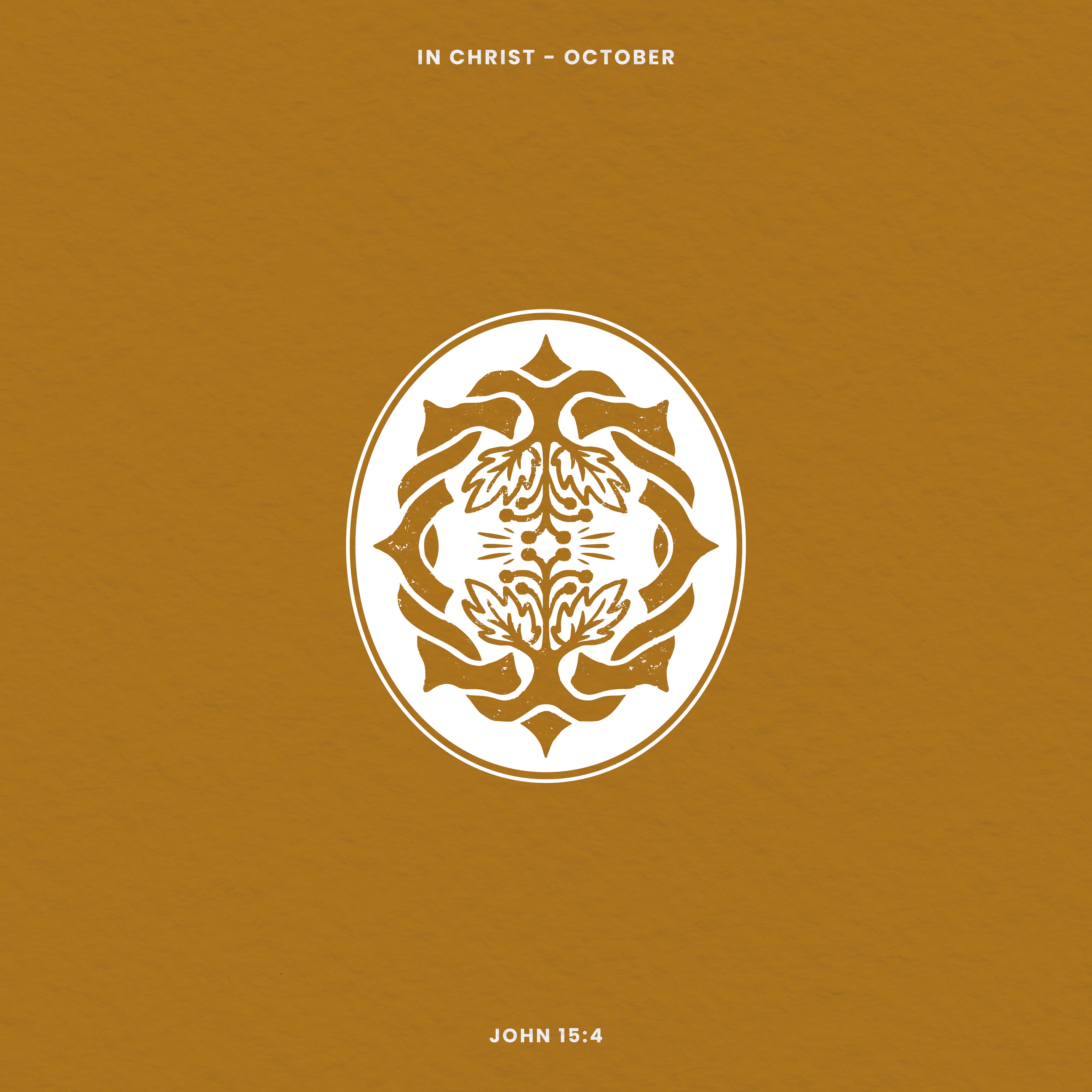 John 15:4 "Abide" - (Bearing Fruit Week 3)